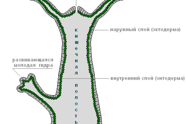 Кракен даркнет войти